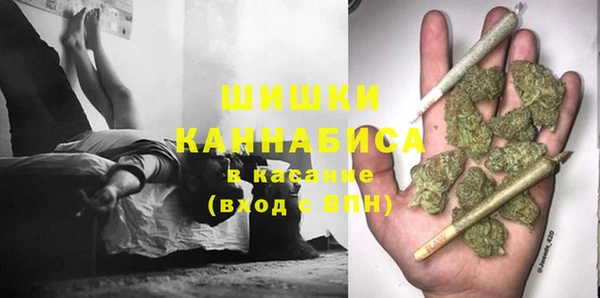 ECSTASY Тайга