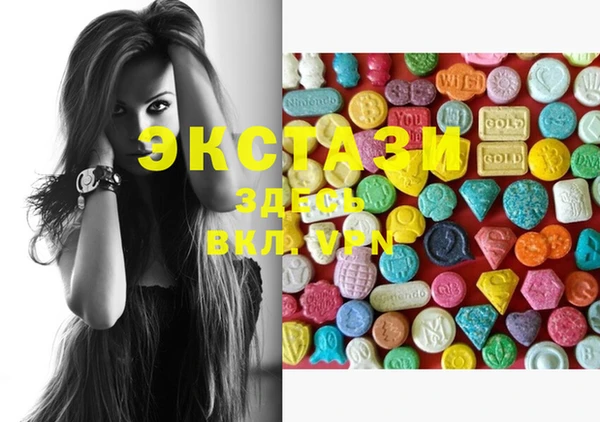 ECSTASY Тайга