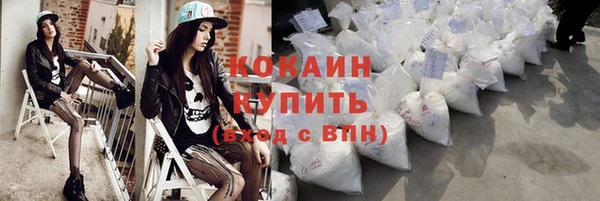ECSTASY Тайга