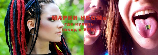 ECSTASY Тайга